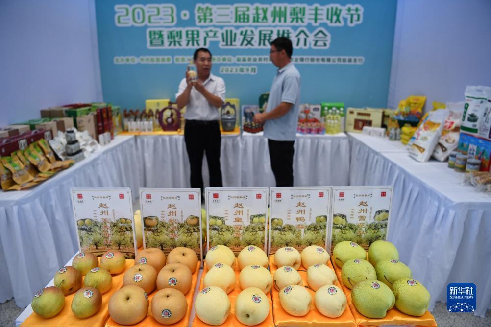 新威尼斯官网